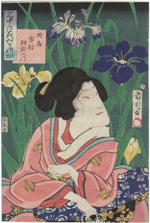 豊原国周: from the series Thirty-six Selected Flowers and Grasses (Sanjûrokkasô no uchi) - ボストン美術館