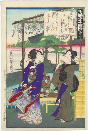 Toyohara Kunichika: No. 33, Fuji no uraba, from the series The Fifty-four Chapters [of the Tale of Genji] in Modern Times (Genji gojûyo jô) - Museum of Fine Arts