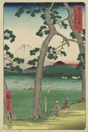 Utagawa Hiroshige: Fuji Seen from the Left on the Tôkaidô Road (Tôkaidô hidari Fuji), from the series Thirty-six Views of Mount Fuji (Fuji sanjûrokkei) - Museum of Fine Arts