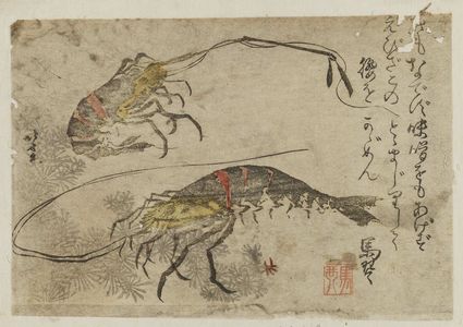 Katsushika Hokusai: Shrimp and Seaweed - Museum of Fine Arts