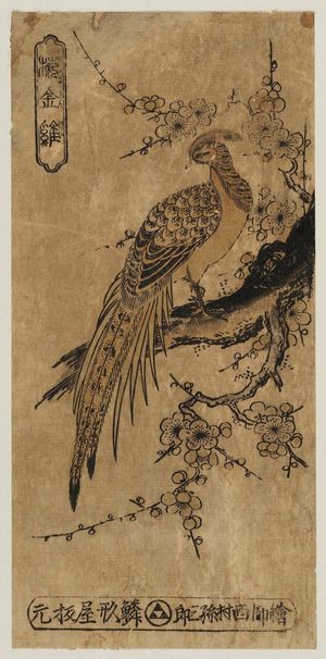 Nishimura Magosaburô: Golden Pheasant and Flowering Plum (Ume ni kinkei) - Museum of Fine Arts