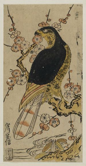 Miyagawa Yasunobu: Hawk on a Plum Branch - ボストン美術館