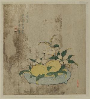 宋紫石: Picture for Long Life (...ju no zu): Peaches and Camellias in a Bowl - ボストン美術館