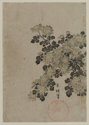 Tawaraya Sôri: Chrysanthemums - ボストン美術館