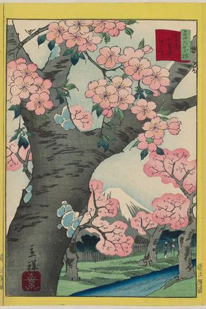 二歌川広重: Cherry Blossoms at Koganei in the Eastern Capital (Tôto Koganei sakura), from the series Thirty-six Selected Flowers (Sanjûrokkasen) - ボストン美術館