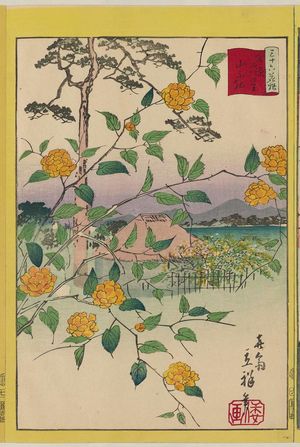 二歌川広重: Kerria Roses at Yamabuki Village in Tokyo (Tôkyô Yamabuki no sato yamabuki), from the series Thirty-six Selected Flowers (Sanjûrokkasen) - ボストン美術館
