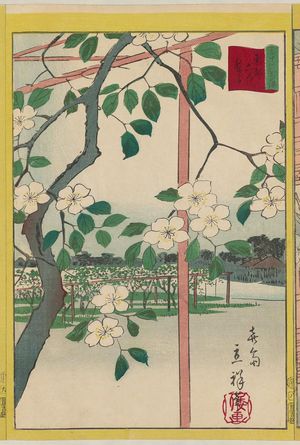 Utagawa Hiroshige II: Pear Blossoms at Rokuroku in the Eastern Capital (Tôto Rokuroku nashi), from the series Thirty-six Selected Flowers (Sanjûrokkasen) - Museum of Fine Arts