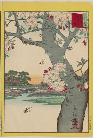 二歌川広重: Double Cherry Blossoms at the Sumida River in the Eastern Capital (Tôto Sumidagawa yaezakura), from the series Thirty-six Selected Flowers (Sanjûrokkasen) - ボストン美術館