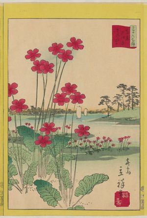 Utagawa Hiroshige II: Primrose at Todahara in Tokyo (Tôkyô Todahara sakuragusa), from the series Thirty-six Selected Flowers (Sanjûrokkasen) - Museum of Fine Arts