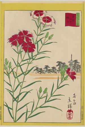 二歌川広重: Wild Carnations at Yanaka in the Eastern Capital (Tôto Yanaka nadeshiko), from the series Thirty-six Selected Flowers (Sanjûrokkasen) - ボストン美術館