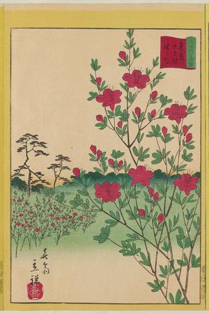 Utagawa Hiroshige II: Azaleas at Ôkubo in Tokyo (Tôkyô Ôkubo tsutsuji), from the series Thirty-six Selected Flowers (Sanjûrokkasen) - Museum of Fine Arts