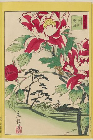 Utagawa Hiroshige II: 「三十六花撰」「東京北沢牡丹」 「十六 