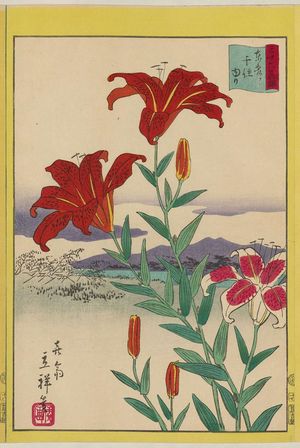 二歌川広重: Lilies at Senju in the Eastern Capital (Tôto Senju yuri), from the series Thirty-six Selected Flowers (Sanjûrokkasen) - ボストン美術館