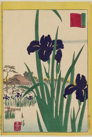二歌川広重: Rabbitear Irises at the Kinoshita River in the Eastern Capital (Tôto Kinoshitagawa kakitsubata), from the series Thirty-six Selected Flowers (Sanjûrokkasen) - ボストン美術館