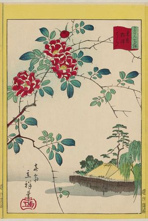 Utagawa Hiroshige II: Wild Roses at Nezu in Tokyo (Tôkyô Nezu bara), from the series Thirty-six Selected Flowers (Sanjûrokkasen) - Museum of Fine Arts