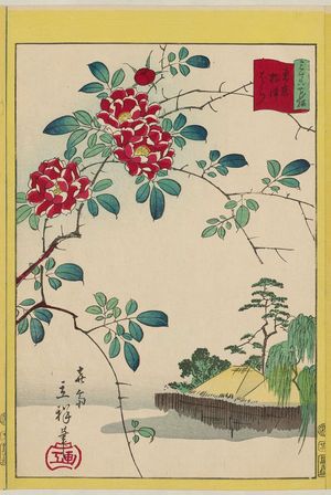 二歌川広重: Wild Roses at Nezu in Tokyo (Tôkyô Nezu bara), from the series Thirty-six Selected Flowers (Sanjûrokkasen) - ボストン美術館