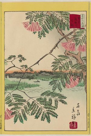 Utagawa Hiroshige II: Mimosa at the Ayase River in Tokyo (Tôkyô Ayasegawa nemu), from the series Thirty-six Selected Flowers (Sanjûrokkasen) - Museum of Fine Arts