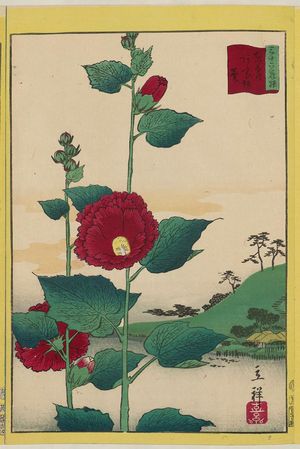 Utagawa Hiroshige II: Hollyhock at Aoizaka in the Eastern Capital (Tôto Aoizaka aoi), from the series Thirty-six Selected Flowers (Sanjûrokkasen) - Museum of Fine Arts