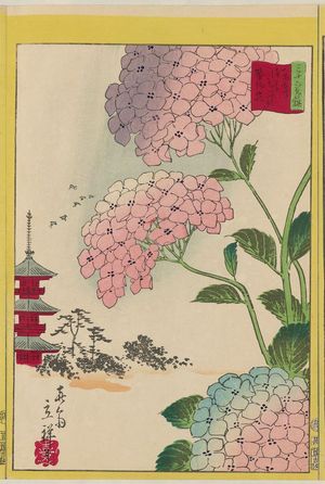 日本版画 "Hydrangea at the Flower Garden at Asakusa in the Eastern Capital (Tôto Asakusa hana yashiki ajisai), from the series Thirty-six Selected Flowers (Sanjûrokkasen)" 由 Utagawa Hiroshige II, 二歌川広重 (Utagawa Hiroshige II (Shigenobu)) 创作