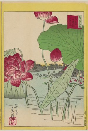 二歌川広重: Lotuses at Shinobazu Pond in Tokyo (Tôkyô Shinobazu ike renge), from the series Thirty-six Selected Flowers (Sanjûrokkasen) - ボストン美術館