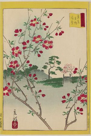 Utagawa Hiroshige II: Aronia at Sugamo in the Eastern Capital (Tôto Sugamo kaidô), from the series Thirty-six Selected Flowers (Sanjûrokkasen) - Museum of Fine Arts