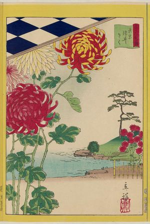 Utagawa Hiroshige II: Chrysanthemums at Somei in Tokyo (Tôkyô Somei kiku), from the series Thirty-six Selected Flowers (Sanjûrokkasen) - Museum of Fine Arts