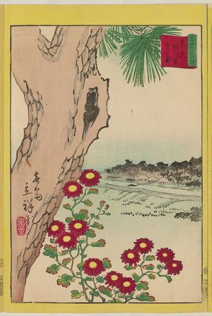 日本版画 "Wild Chrysanthemums at Yanagishima in Tokyo (Tôkyô Yanagishima nogiku), from the series Thirty-six Selected Flowers (Sanjûrokkasen)" 由 Utagawa Hiroshige II, 二歌川広重 (Utagawa Hiroshige II (Shigenobu)) 创作