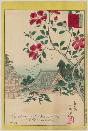 二歌川広重: Camellia at Horinouchi in the Eastern Capital (Tôto Horinouchi sazanka), from the series Thirty-six Selected Flowers (Sanjûrokkasen) - ボストン美術館