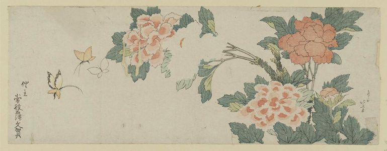 Katsushika Hokusai: Peonies and Butterflies - Museum of Fine Arts