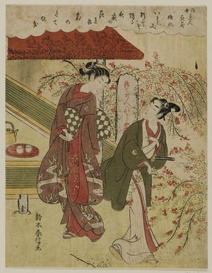鈴木春信: Hagi, from the series Beauties of the Floating World Compared to Flowers (Ukiyo bijin yosebana) - ボストン美術館