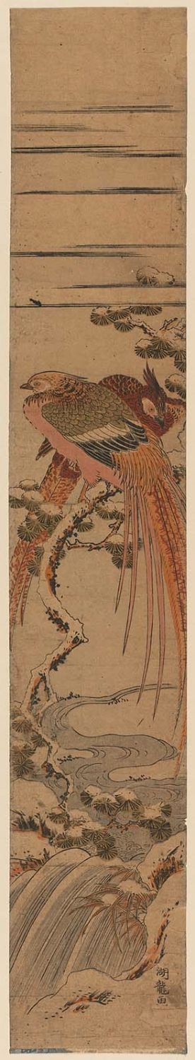 Isoda Koryusai: Two Golden Pheasants on Snow-covered Pine over Waterfall - Museum of Fine Arts
