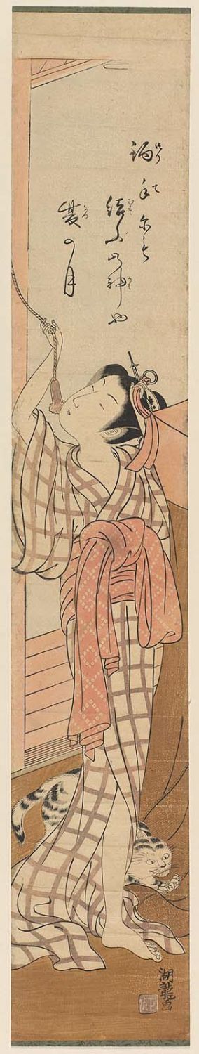 Isoda Koryusai: Woman Fastening a Mosquito Net and Cat - Museum of Fine Arts
