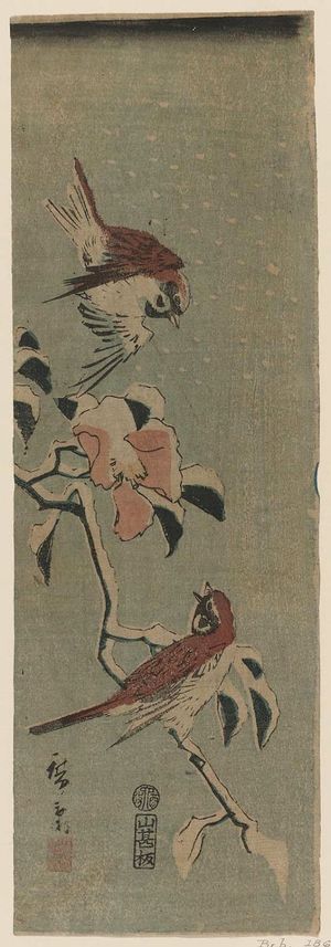 Utagawa Hiroshige II: Sparrows and Camellia in Snow - Museum of Fine Arts