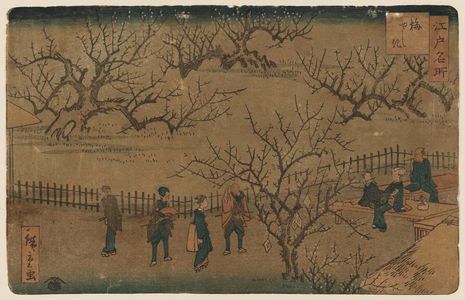 二歌川広重: Plum Garden (Ume yashiki), from the series Famous Places in Edo (Edo meisho) - ボストン美術館