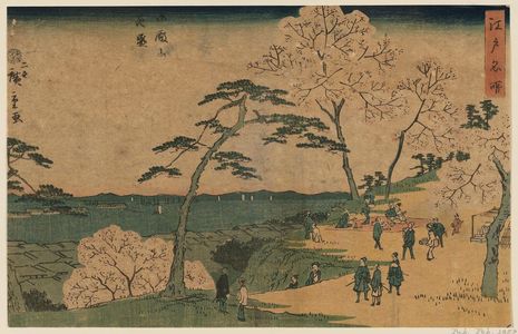 二歌川広重: Cherry Blossoms in Full Bloom at Goten-yama (Goten-yama hanazakari), from the series Famous Places in Edo (Edo meisho) - ボストン美術館