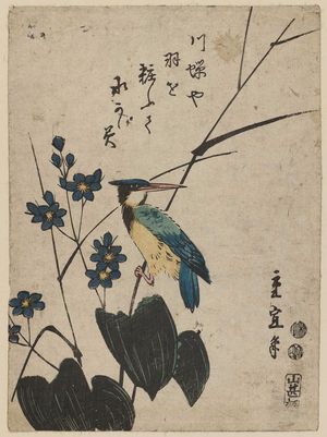 Utagawa Hiroshige II: Kingfisher and Mizu-aoi - Museum of Fine Arts