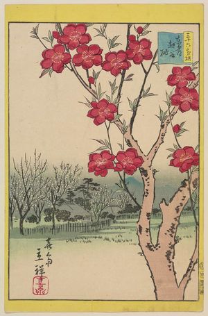 Utagawa Hiroshige II: Peach Blossoms at Koshigaya in the Eastern Capital (Tôto Koshigaya momo), from the series Thirty-six Selected Flowers (Sanjûrokkasen) - Museum of Fine Arts
