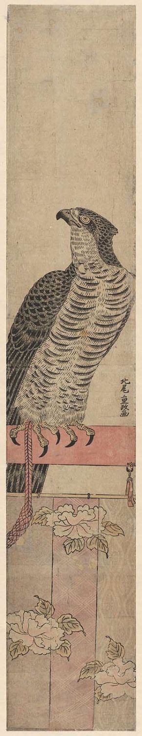 Kitao Shigemasa: Falcon Perched on Stand - Museum of Fine Arts