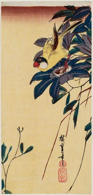 Utagawa Hiroshige: Finch and Clematis - Museum of Fine Arts
