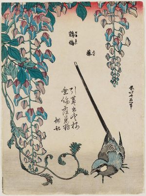 Katsushika Hokusai: Wisteria and Wagtail (Fuji, sekirei), from an untitled series known as Small Flowers - Museum of Fine Arts