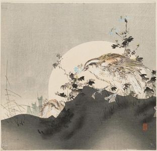 Tsukioka Kogyo: Two quail and chrysanthemums against a rising moon - Museum of Fine Arts