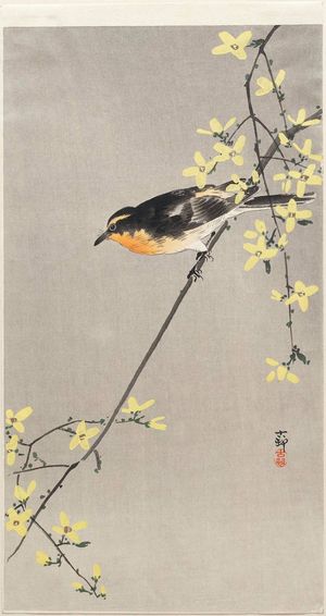 小原古邨: Bird on Forsythia Branch - ボストン美術館