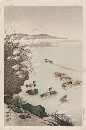 Ohara Koson: Wild Ducks and Pampas Grass - Museum of Fine Arts