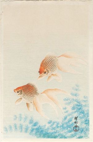 Ohara Koson: Two Goldfish - Museum of Fine Arts