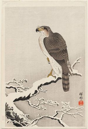 Ohara Koson: Hawk on Snow-covered Branch - Museum of Fine Arts