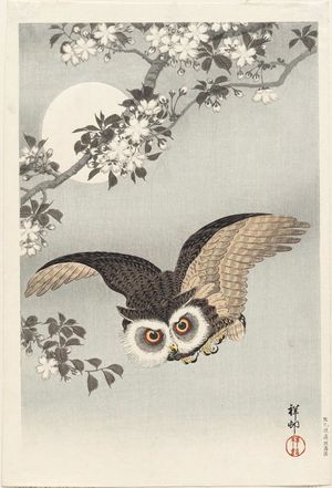 小原古邨: Scops Owl, Cherry Blossoms, and Moon - ボストン美術館