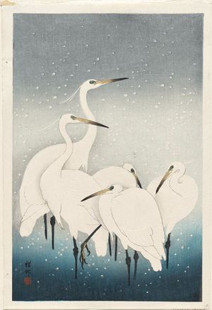 Ohara Koson: Five white herons standing in water; snow falling - Museum of Fine Arts