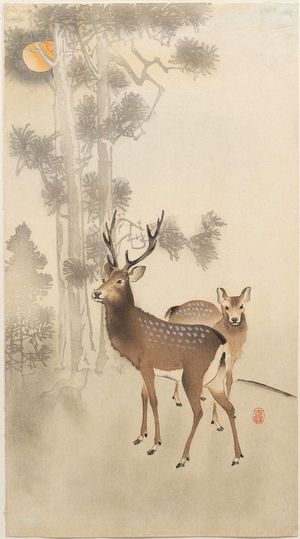 小原古邨: Two deer, pine and moon - ボストン美術館