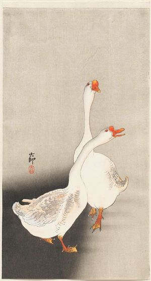 Ohara Koson: Two white geese - Museum of Fine Arts