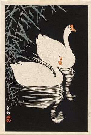 Ohara Koson: Two white geese swimming by reeds - Museum of Fine Arts